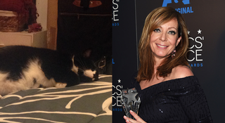 Illustration for article titled Meet Jezebel's Pets and Their Celebrity Lookalikes!